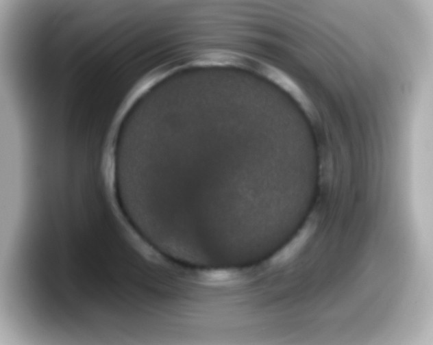 X0000099941130200805231246