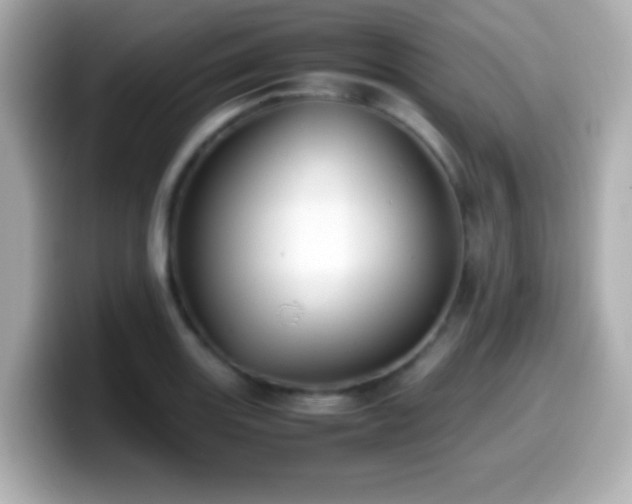 X0000099941131200805231246