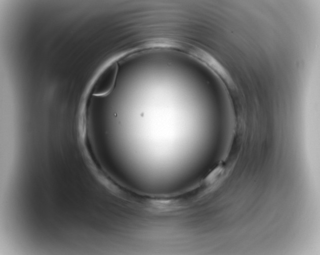 X0000099941132200805231246