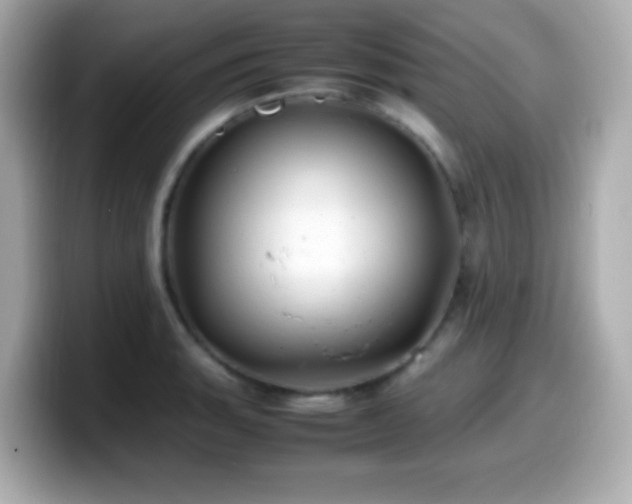 X0000099941135200805231246