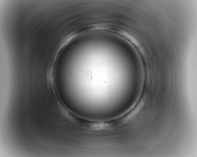 X0000099941137200805231246