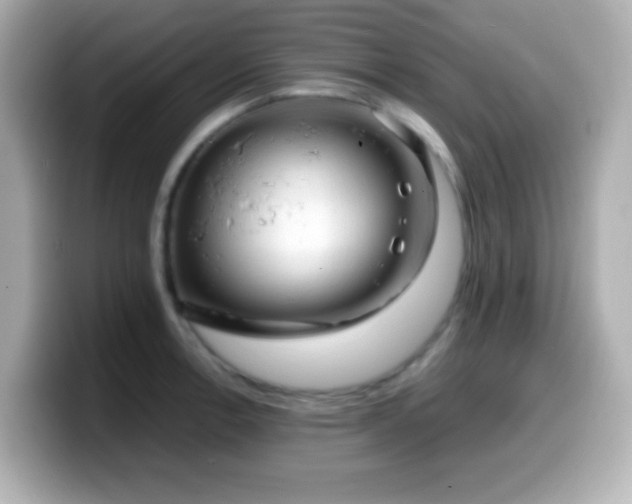 X0000099941138200805231246