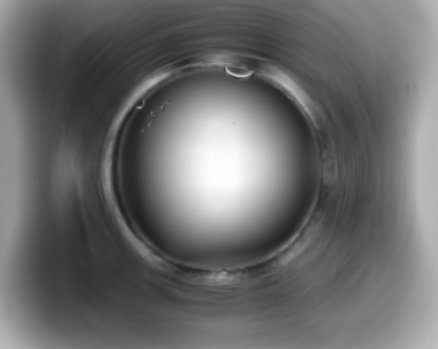 X0000099941139200805231246