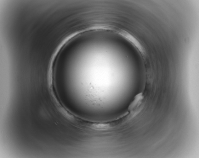 X0000099941140200805231246