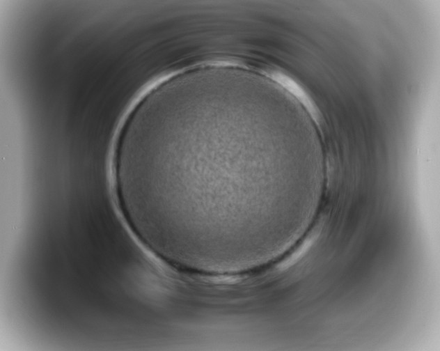 X0000099941141200805231246