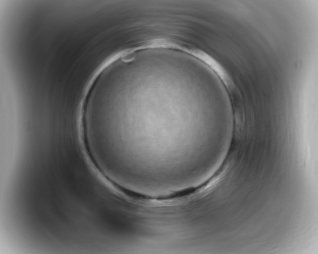 X0000099941142200805231246