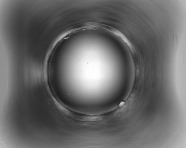 X0000099941143200805231246