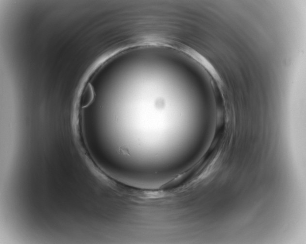 X0000099941144200805231246