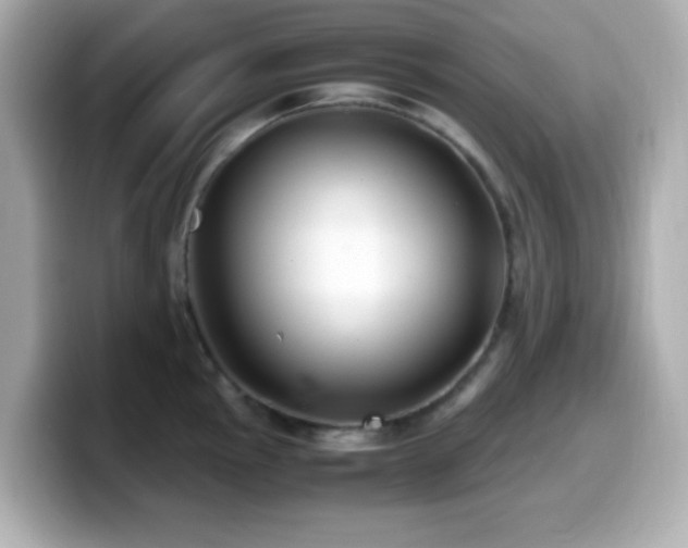X0000099941145200805231246