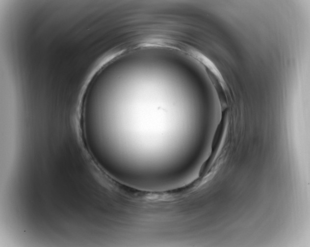 X0000099941146200805231246