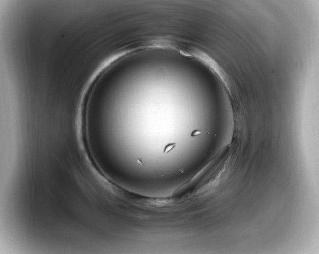 X0000099941147200805231246