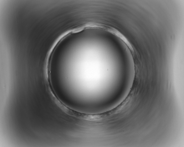 X0000099941148200805231246