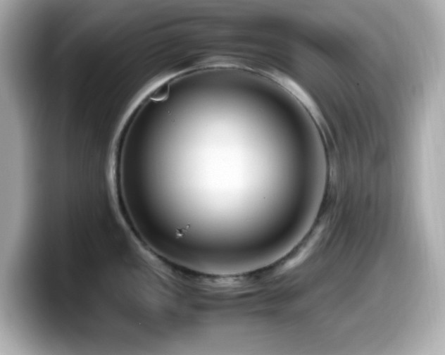 X0000099941149200805231246