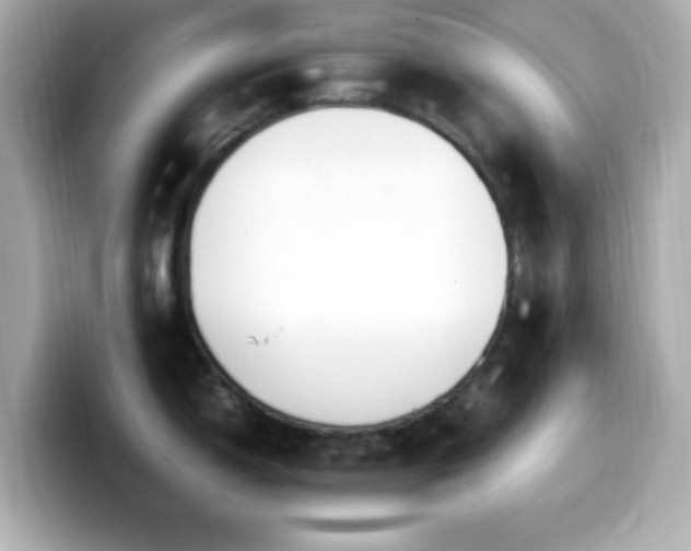 X0000099941150200805231246