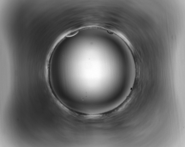 X0000099941151200805231246