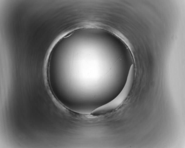 X0000099941152200805231246