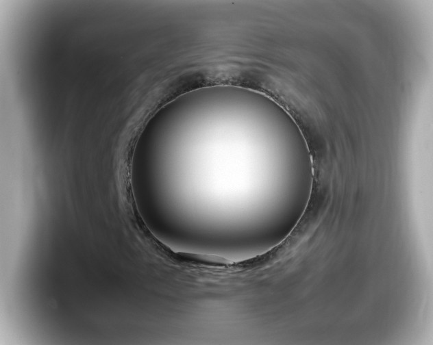 X0000099941153200805231245