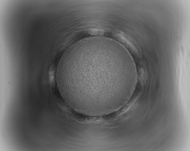 X0000099941154200805231245