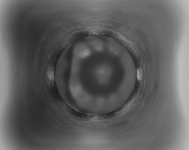 X0000099941155200805231245