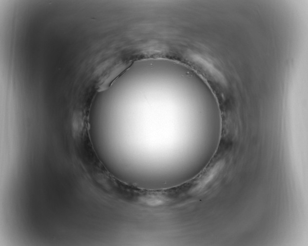 X0000099941157200805231245