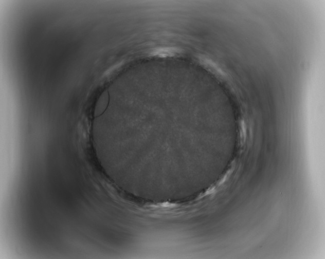 X0000099941158200805231245