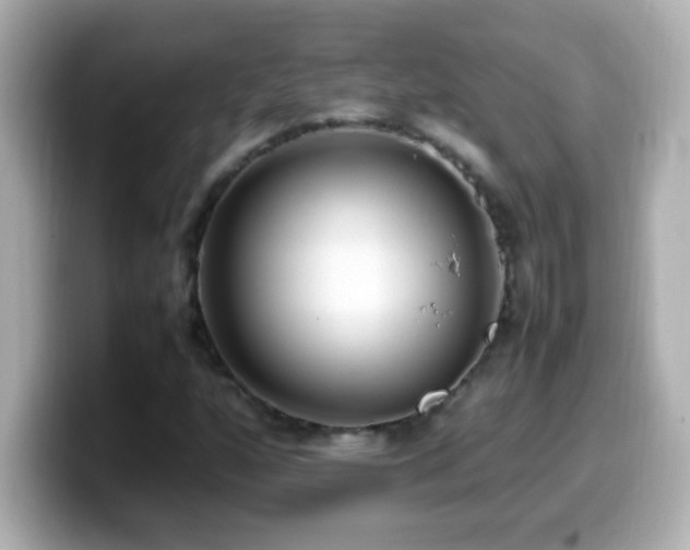 X0000099941160200805231245