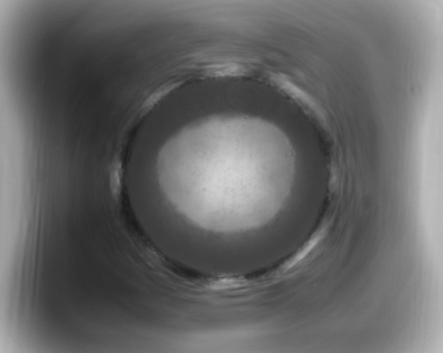 X0000099941161200805231245
