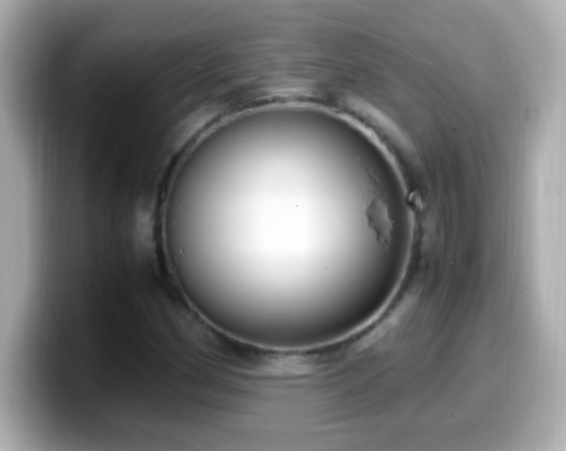 X0000099941162200805231245