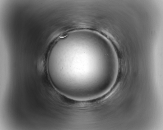 X0000099941163200805231245