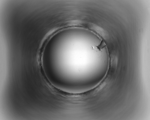 X0000099941164200805231245
