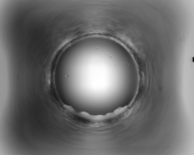 X0000099941165200805231245