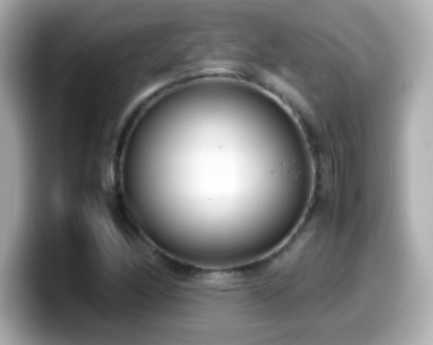 X0000099941166200805231245