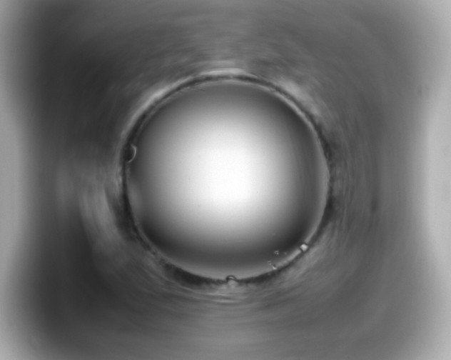 X0000099941167200805231245