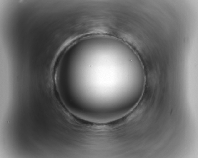 X0000099941168200805231245