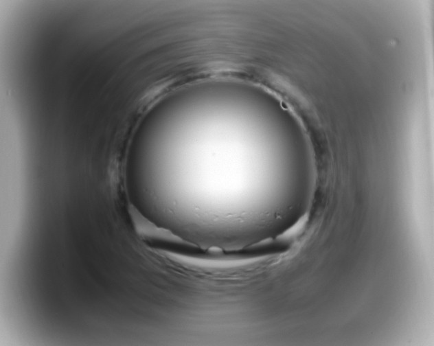 X0000099941169200805231245