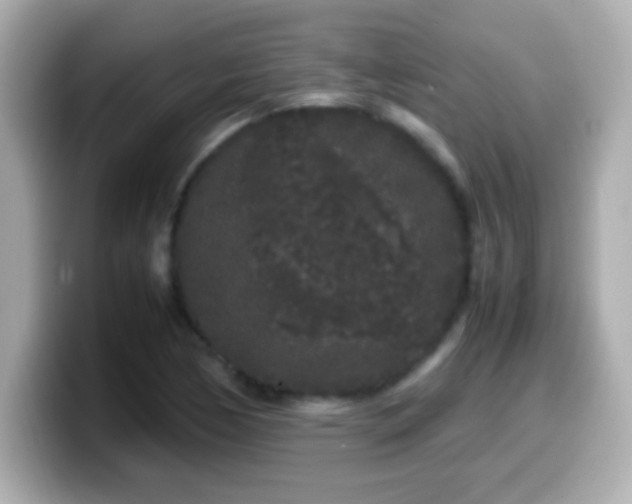 X0000099941170200805231245