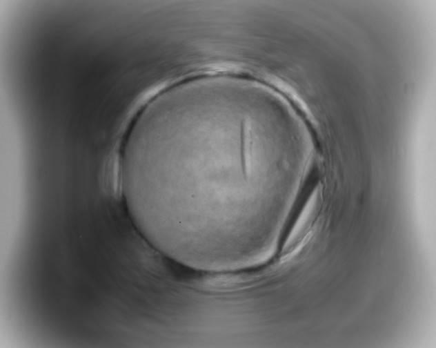 X0000099941171200805231245