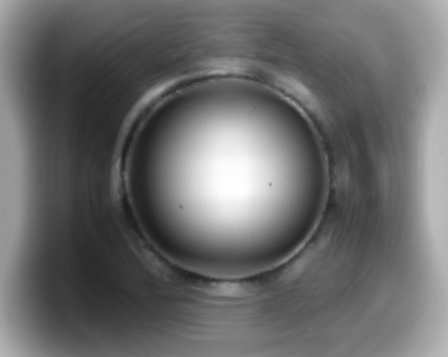 X0000099941172200805231245