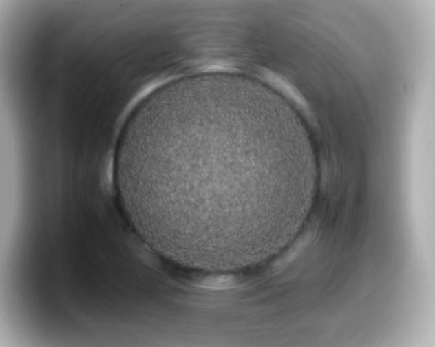 X0000099941174200805231245