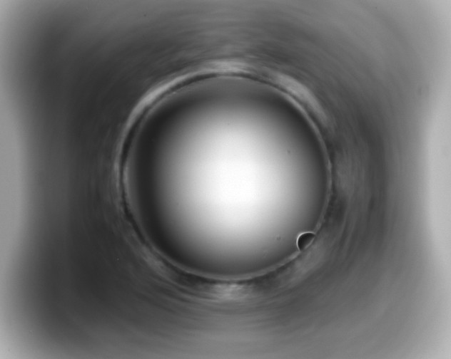 X0000099941176200805231245