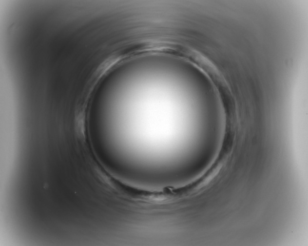 X0000099941177200805231245
