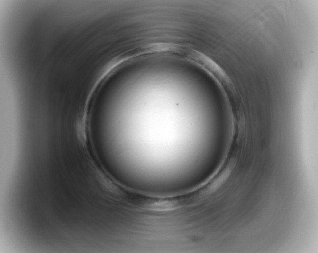 X0000099941178200805231245