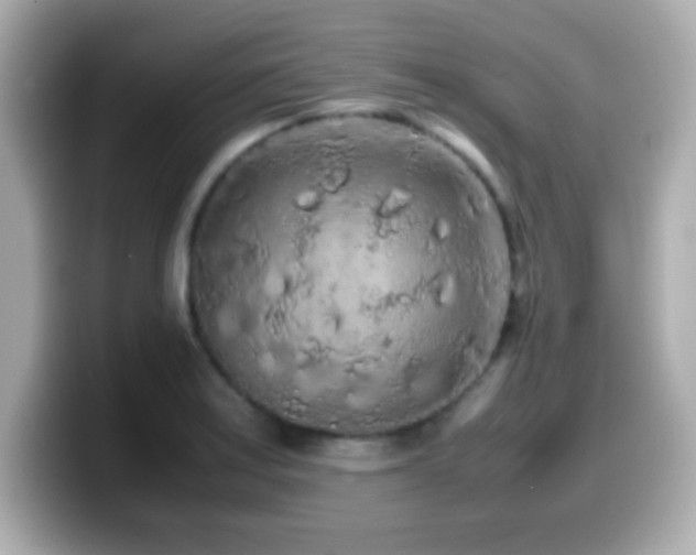 X0000099941179200805231245