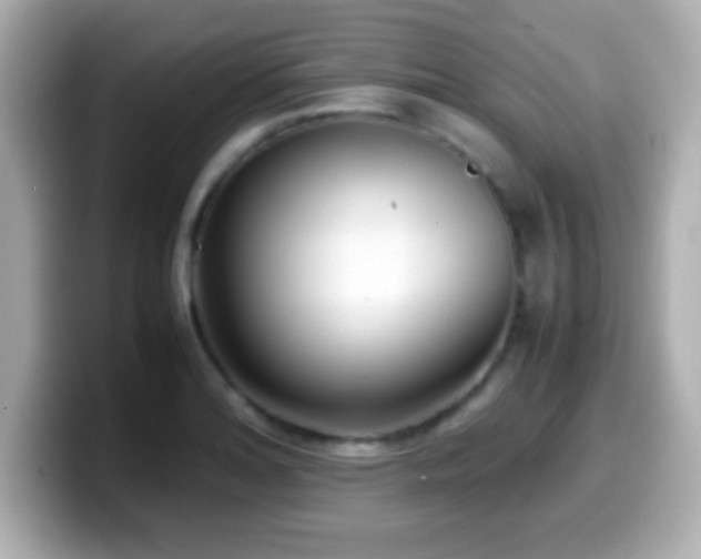 X0000099941180200805231245