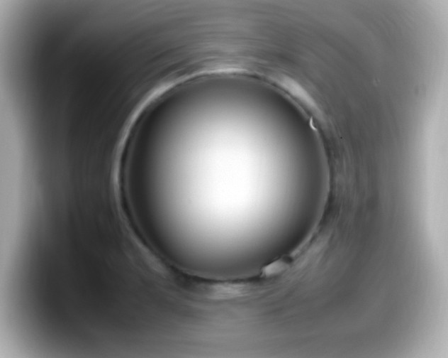 X0000099941181200805231245