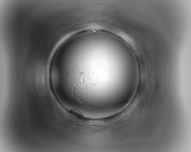 X0000099941183200805231245