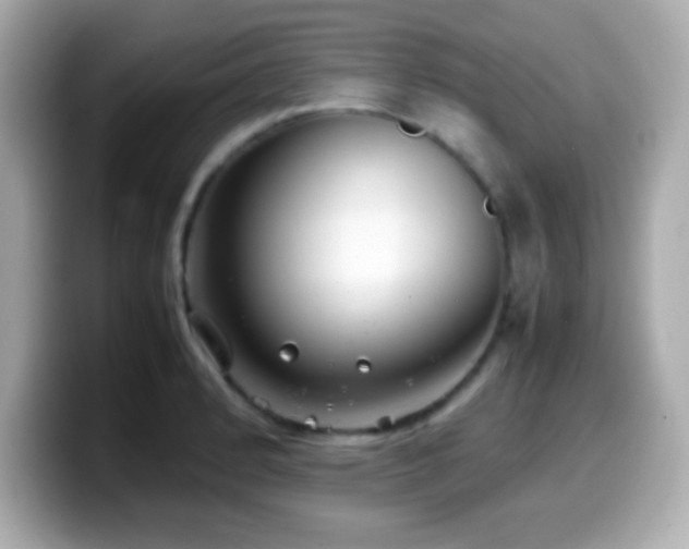X0000099941184200805231245