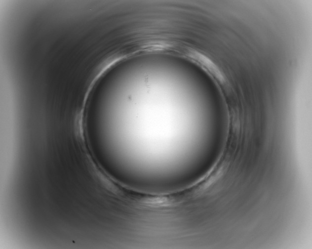 X0000099941186200805231245