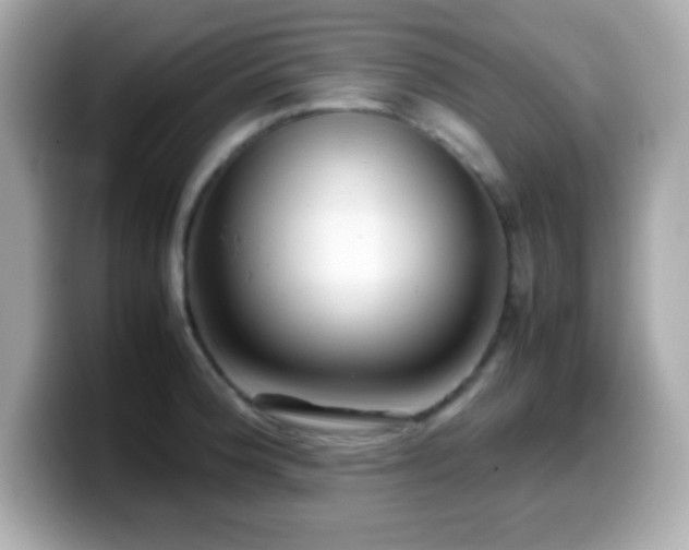 X0000099941188200805231245