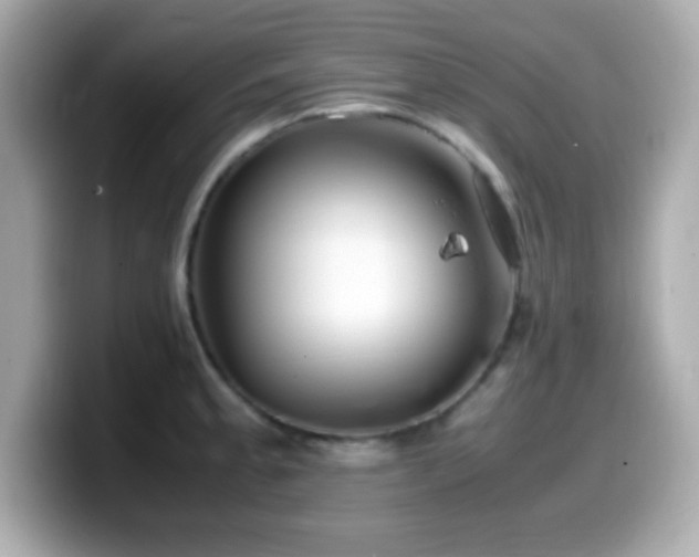 X0000099941189200805231245